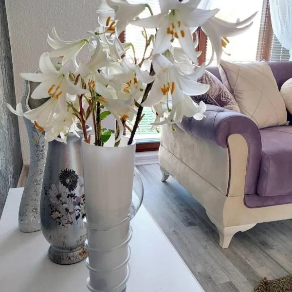 Apartman STARI GRAD, hotel v destinaci Bihać