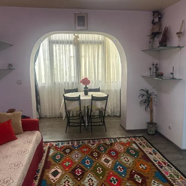 Ingrid home 3 camere, khách sạn ở Vatra Dornei