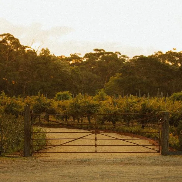 B Farm, hotel in Bobs Farm