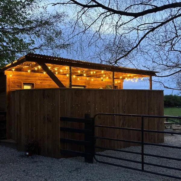 Rustic Charm Cabin, hotel v destinaci Naas