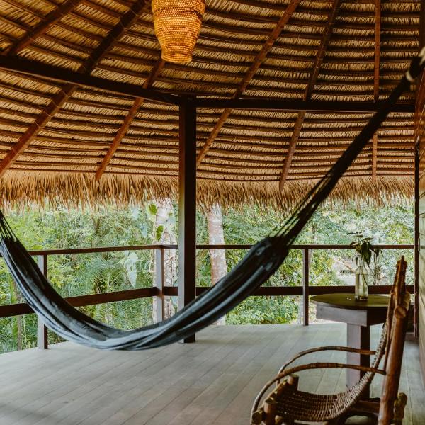 Noite mágica com macacos na Villa Arapiuns - Bangalôs na Floresta - Alimentação completa - 1h30 de Alter do chão de lancha - Foto 5