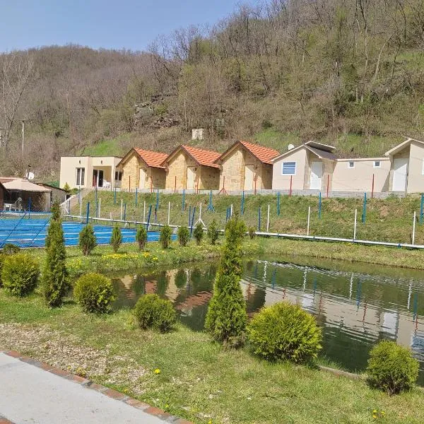 Prenociste Vranjska banja, hotell sihtkohas Vranjska Banja