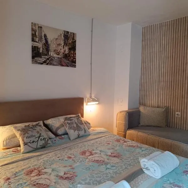 WIN apartment, hotel di Pluzine