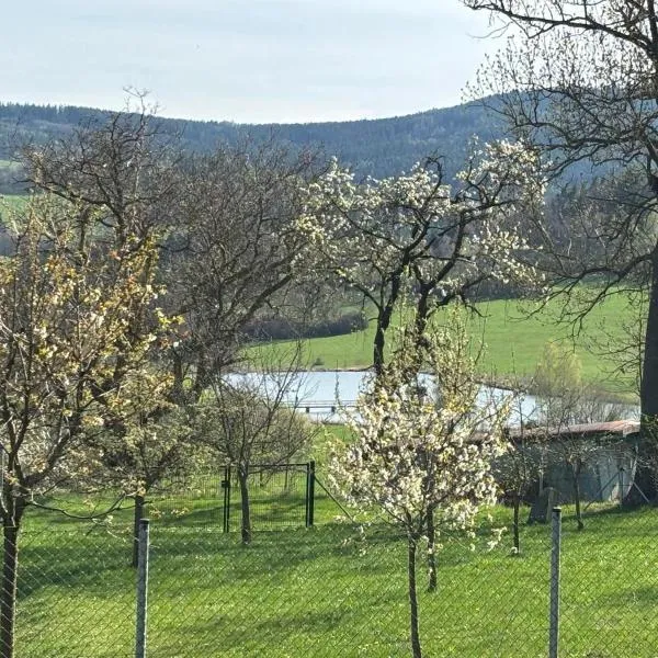 Šumava apartmán U Kočiček, hotel in Strašice