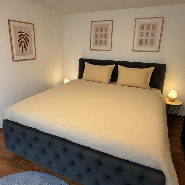 Ferienhaus am Bodensee, hotel in Moos