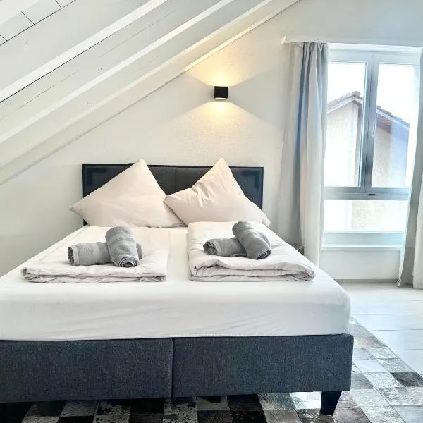 Loft apartment in a central location, hotel in Winterthur