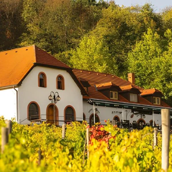 Hotel a vinařství Sádek, hotel v destinaci Kojetice