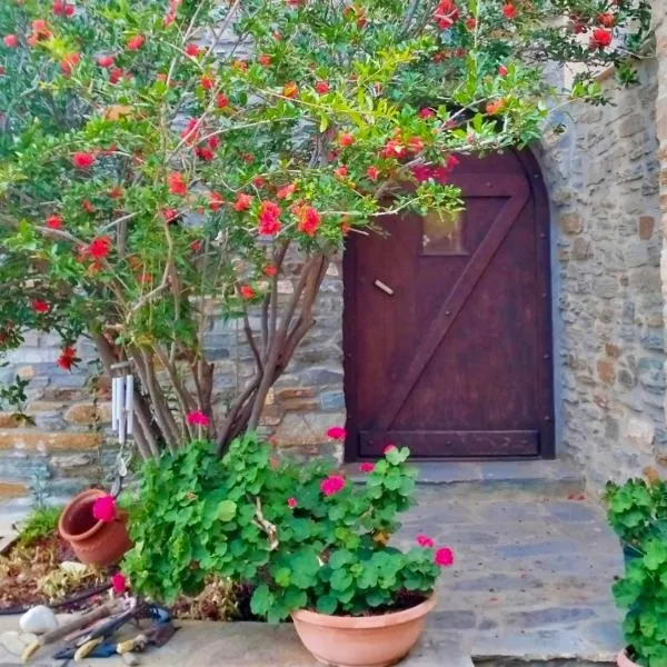 Πέτρινο, hotel in Tinos Town