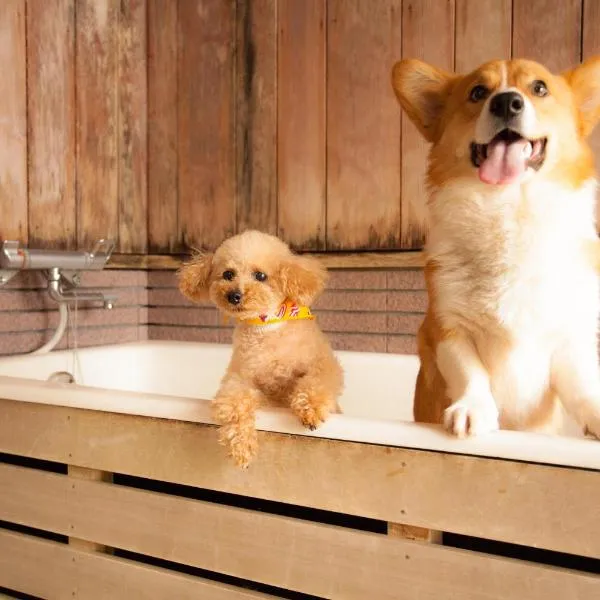 Izumigo Takayama Dog Paradise Hotel, hotel in Takayama