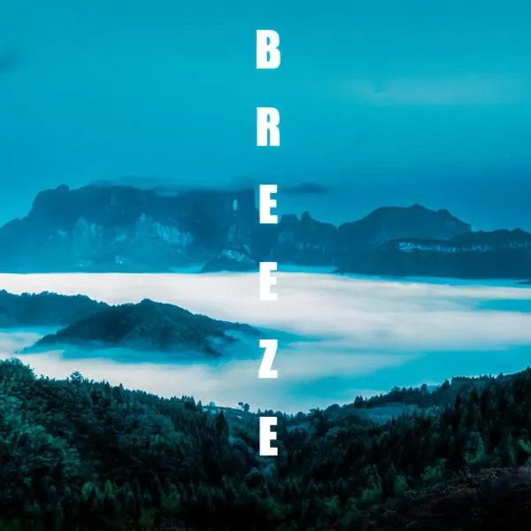 Breeze Alley Inn--English reception-Tourism planing-Ticket reservation, hotel in Zhangjiajie