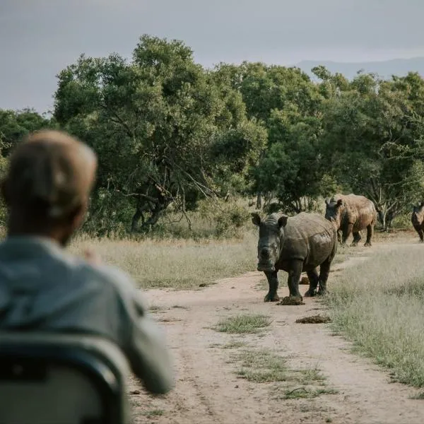 Rhino's Rest Private Luxury Villa, hotel in Hoedspruit