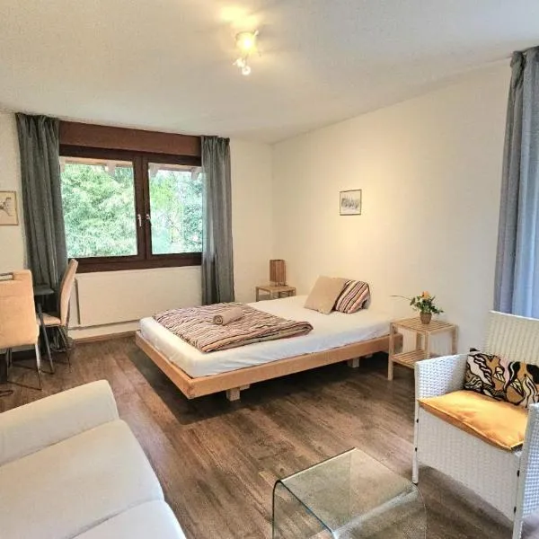 Gästezimmer in alternativer Kulturvilla, hotel in Aesch