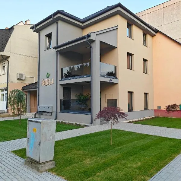 FitVital Luxury Apartman, ξενοδοχείο σε Kisvárda