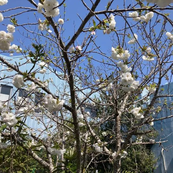 Narita Airport Samurai Hostel, hotel v destinaci Kujukuri