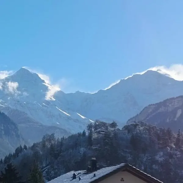 Swiss Alpine view apartment、インターラーケンのホテル