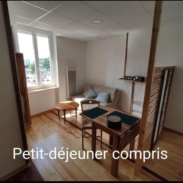 Studio sympa avec petit déjeuner entre canal et Loire, hotel v destinácii Roanne