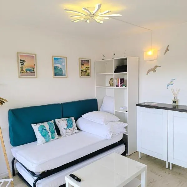 Studio seagulls, hotel in Mimizan-Plage