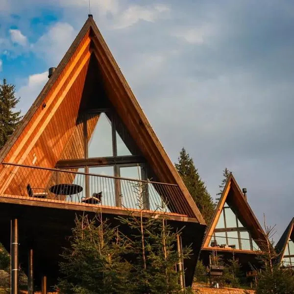 УЛІС Ворохта, hotel in Ilʼtsya Gurny