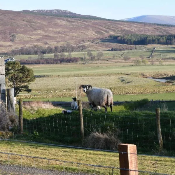 Birch Cottage, hotel in Laggan