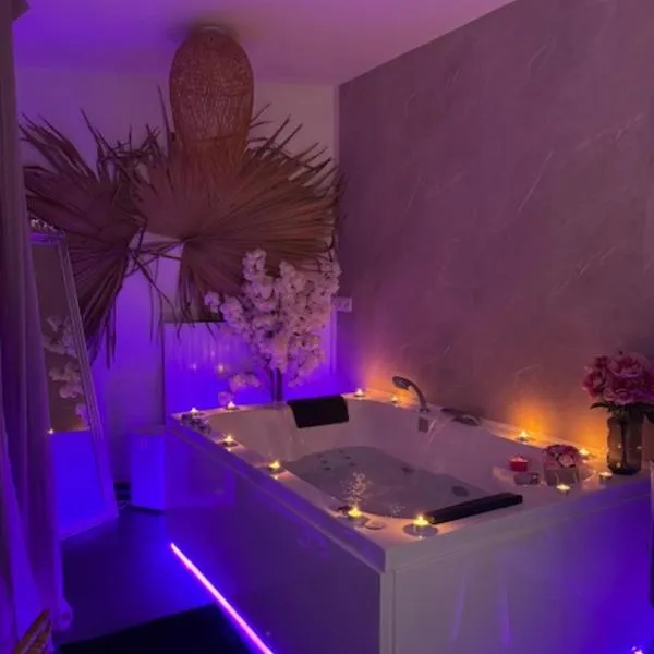 BALI SPA détente à deux à 5 minutes de Tours centre, hotel in Tours