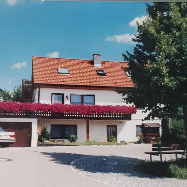 Ruhiges Einzimmer-Apartment, Hotel in Backnang