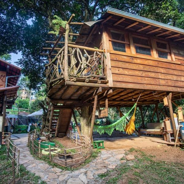 Espaço Casa da Árvore - 3 opções de chalés - Foto 5