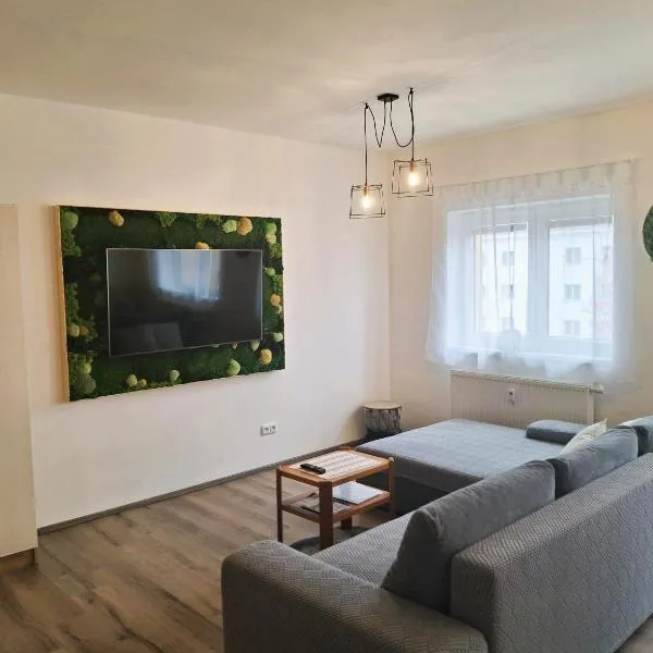Apartmán Milano Frymburk, hotell sihtkohas Frymburk