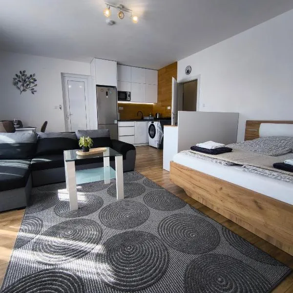 Prémiový apartmán s vlastným vchodom a parkovaním v garáži, hotel v destinaci Svidník