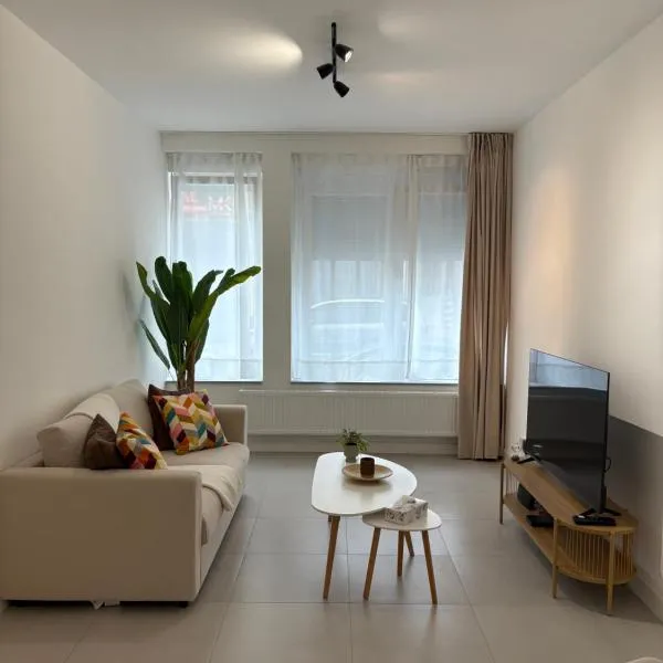 2 bedroom duplex, hotel v Bruseli