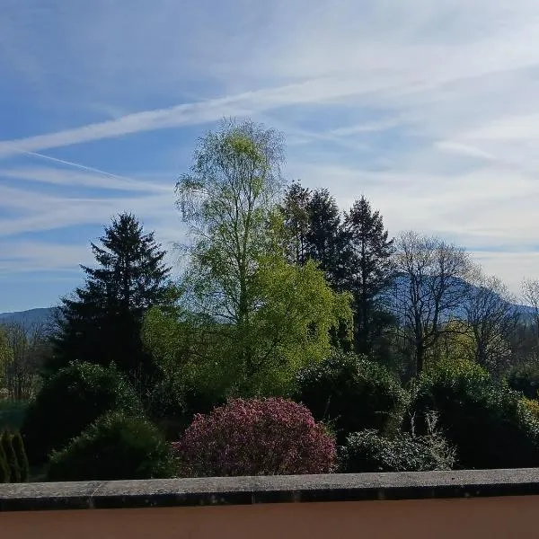 Hôtel l'Orée des Roches, hotel v destinácii Saales