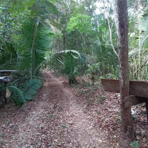Chácara Quântica casa na floresta - Foto 5