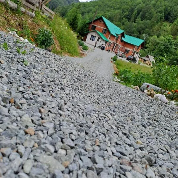 Cabana cosmina și milan, hotel in Arieşeni