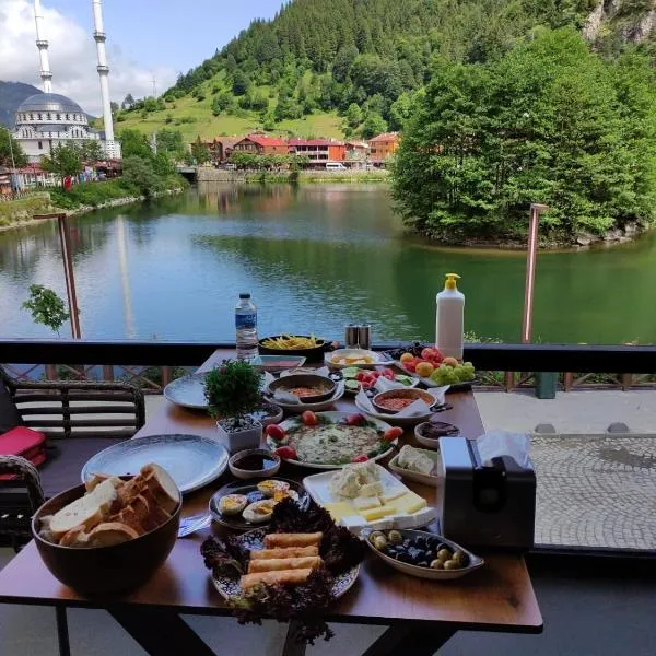 Uzungol The Are Otel, hotel Uzungölben