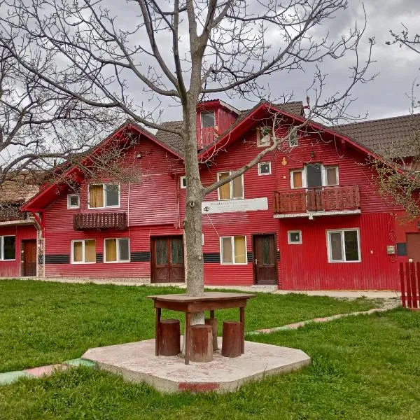 Pensiunea Irina 3, hotel v destinaci Zărneşti