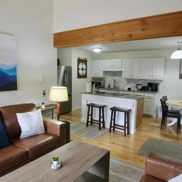 Beaver Creek, Avon condo, walk to ski shuttle - on the Eagle River, hotel in Avon
