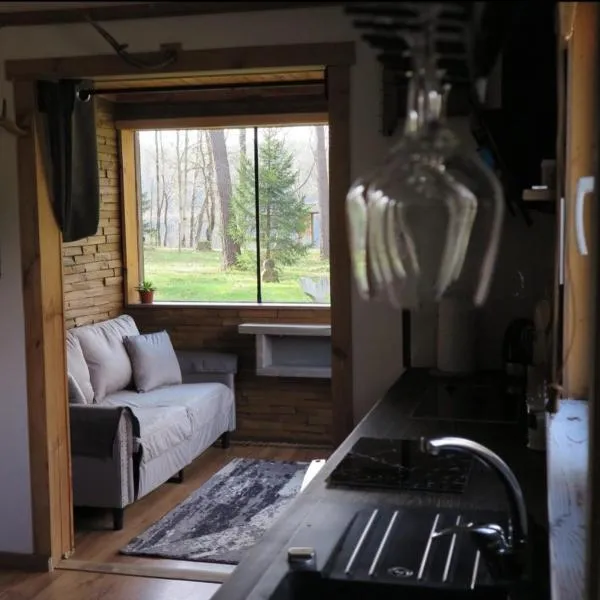 Dreamcatcher, hotel in Straupe