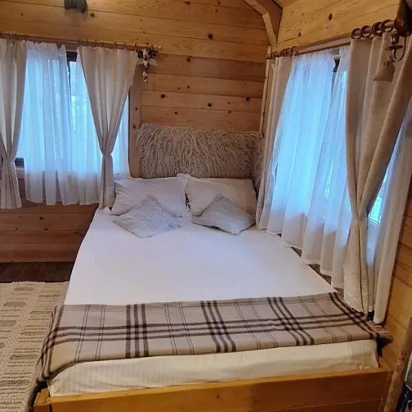 Cabana Plaiul Bucovinei, hotel in Câmpulung Moldovenesc