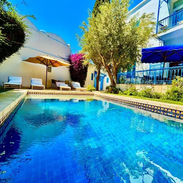 Olivia sidibou, hotel v destinaci Sidi Bou Saïd