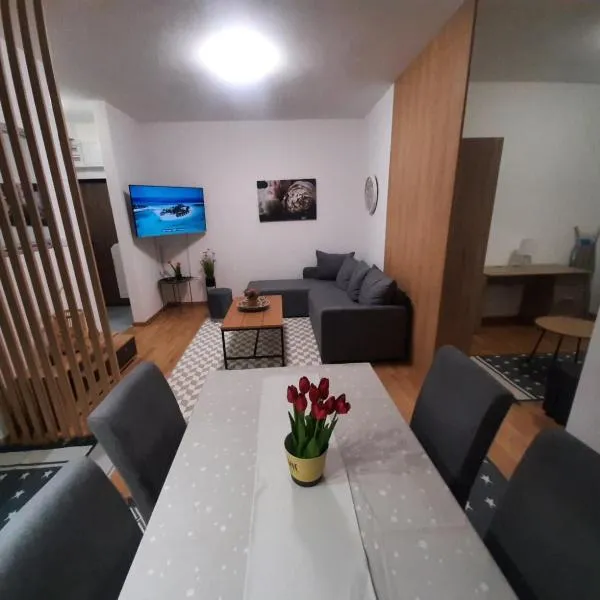 Apartman Beograd Mir i Komfor, Hotel in Belgrad