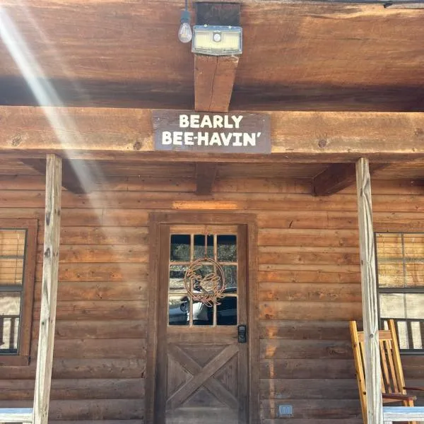 HoneyComb Hideouts Bearly BeeHavin cabin, hotel v destinaci Concan