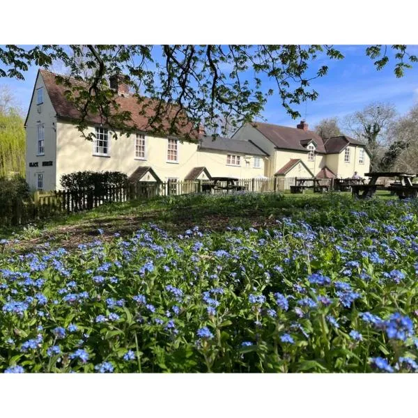 Black Horse, hotel in Brent Pelham