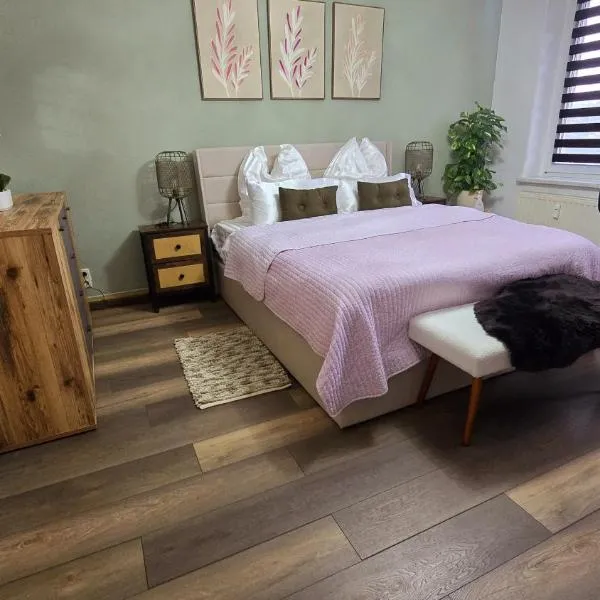 Cozy Pet-Friendly Apartment, hotel v destinaci Meißen