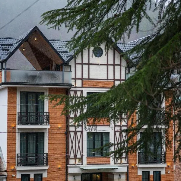 1 Hotel Borjomi, отель в Боржоми