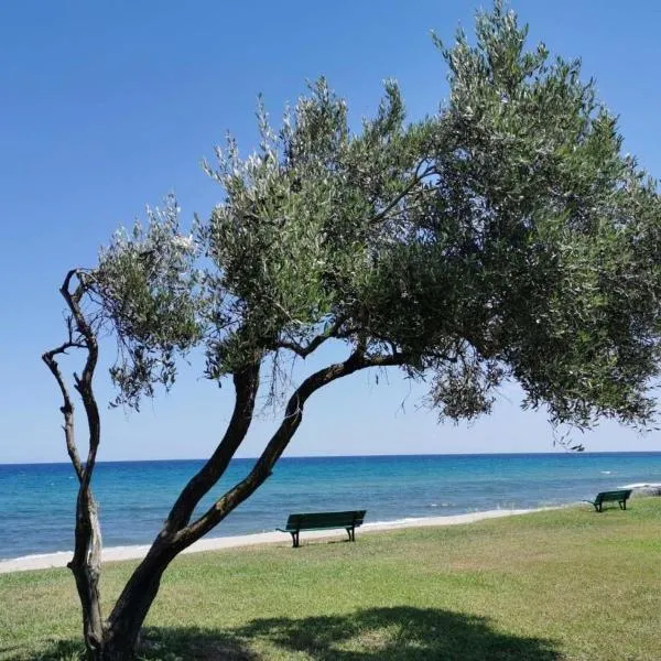 Studio Face à la mer, Hotel in Cervione