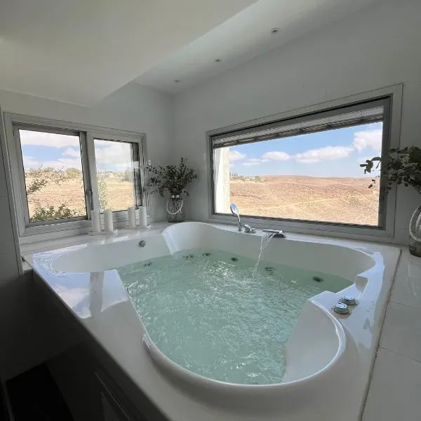 " ARADA " Luxury House, hotel v destinaci Arad