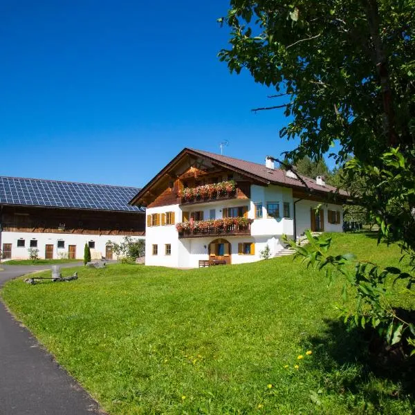 Viesnīca Gastreinhof pilsētā Meltina