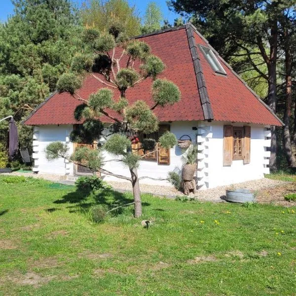 Ostoja poleska, hotel di Kołacze