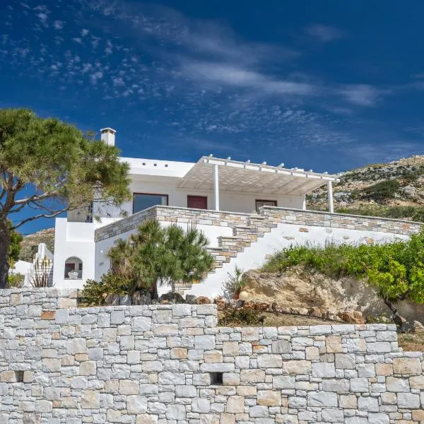 ‘Sophie’s Villa’, hotel in Naxos Chora
