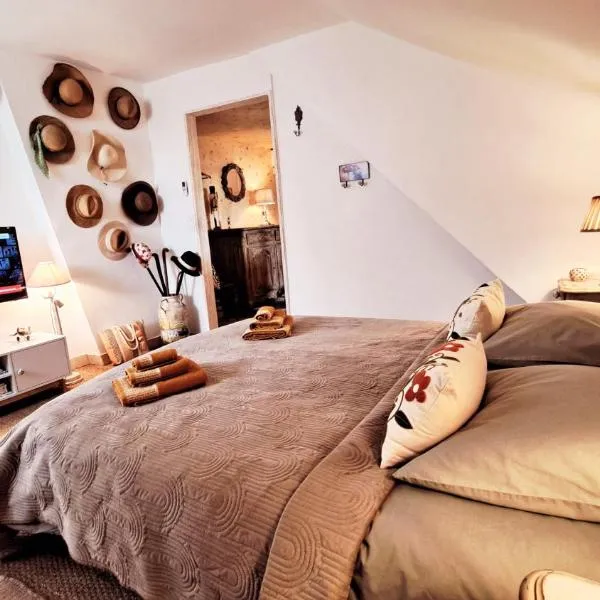 COSY CHAMBRE-SUITE climatisée, hotel in Sancoins