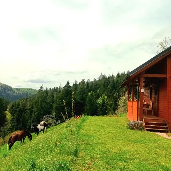 Tiny house, hotel v destinaci Žiri